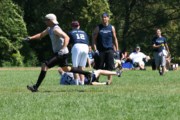 OTFL Gallery Image